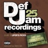 Def Jam 25, Vol 16 - Lifer's Picks: 298 to 160 to 825