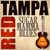 Tampa Red - Somebody's Been Using That Thing