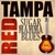 Tampa Red-Witchin' Hour Blues