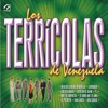 Los Terricolas De Venezuela - Amor Traicionero