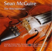 The Wild Irishman