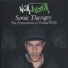 Sonic Therapy - Frustrations Of Joshua Wolfe