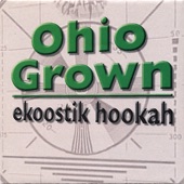 Ekoostik Hookah - Raging River