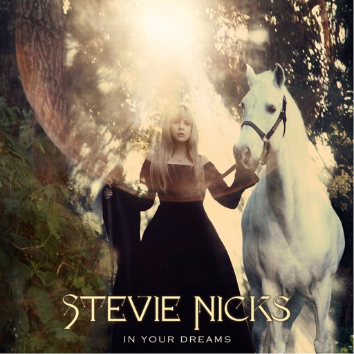Art for For What It's Worth by Stevie Nicks