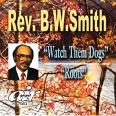 Rev. B.W. Smith - Town,Mad,Bull,Bird Dogs