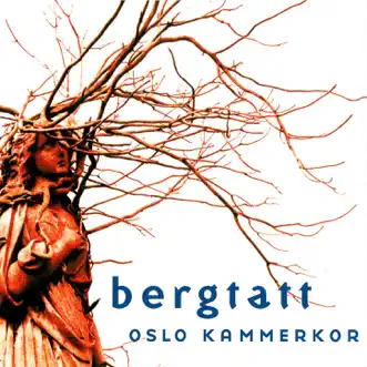 Halling Frå Senja by Oslo Kammerkor song reviws