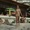 BEACH BOYS - HEROES AND VILLIANS