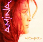 Nomad - Best of Amina, 2002
