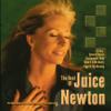 The Best of Juice Newton (Re-Recorded Versions) - Juice Newton