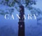 Canary (Album Ver.) - Junko Iwao lyrics