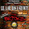 LiL a or Ros~a Shawty (club) - Single album lyrics, reviews, download