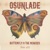 Osunlade-Butterfly (Phil Asher's Restless Soul Vocal Mix)