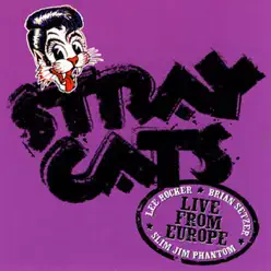 Live from Europe: Amsterdam July 14, 2004 - Stray Cats