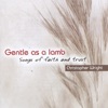 Gentle as a Lamb