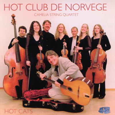 Shoegazing - Hot Club De Norvege | Shazam