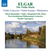 Serenade in E minor, Op. 20 : I. Allegro piacevole artwork