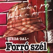 Bármeddig élek - Surda dala - a Forró szél c. filmsorozatból artwork