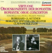Oboe Concertino In F Major, Op. 110: I. Allegro Con Fuoco artwork