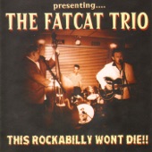 Fat Cat Trio - Shake Your Hips
