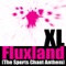 Fluxland (Live Remix) artwork