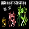 Ibiza Night Sensation, Vol. 12