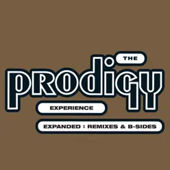 Experience: Expanded (Remastered) - The Prodigy