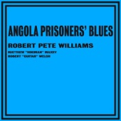 Robert Pete Williams, Matthew Hogman Maxey, Robert Guitar Welch - Electric Chair Blues
