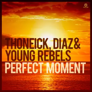 last ned album Thoneick, Diaz & Young Rebels - Perfect Moment