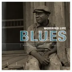 Worried Life Blues (Remastered) by Various Artists album reviews, ratings, credits