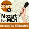 Karaoke Opera, Vol. 5: Mozart for Men album lyrics, reviews, download