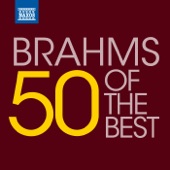 21 Hungarian Dances, WoO 1 (Version for Orchestra): Hungarian Dance No. 1 in G Minor [Orch. J. Brahms] artwork