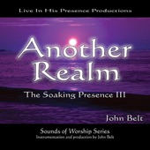 Another Realm: The Soaking Presence III artwork