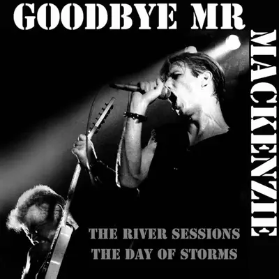 Day of Storms- River Sessions - Goodbye Mr. Mackenzie Day of Storms- River Sessions - Goodbye Mr. Mackenzie