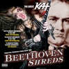 Beethoven Shreds