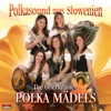 Polkasound Aus Slowenien