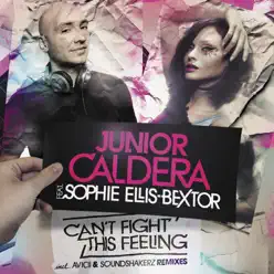Can't Fight This Feeling (Remixes) - Sophie Ellis-Bextor