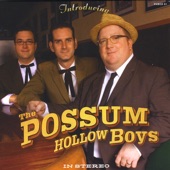The Possum Hollow Boys - One More Chance Again