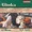 BBC Philharmonic; Vassily Sinaisky - Glinka: Overture in D