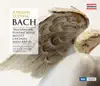 Bach: Funeral music - 11 Motets (excerpts) - Missa brevis album lyrics, reviews, download