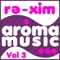 Miss the Point (Lars Wickinger Remix) - DJ Aroma lyrics