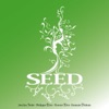 Seed