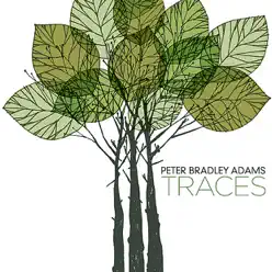 Traces - Peter Bradley Adams