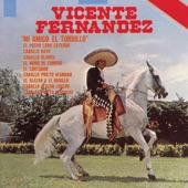 Vicente Fernández - El Potro Lobo Gateado (Album Version)