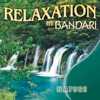 Bandari - The Last Unicorn