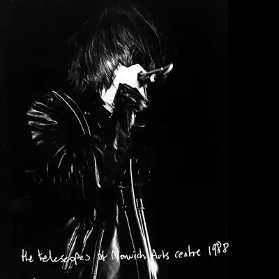 Live At Norwich Arts Centre 1988 - The Telescopes Live At Norwich Arts Centre 1988 - The Telescopes