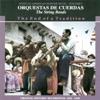 Mexican-Américan Border Music, Vol. 5: Orquestas de Cuerdas - The String Bands
