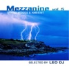 Mezzanine, Vol. 5 (Ethno Moods & Ambient)