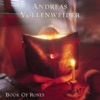 Andreas Vollenweider - Passage to Promise