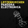 Lützenkirchen & Felix Baumgartner - 3 Tage Wach