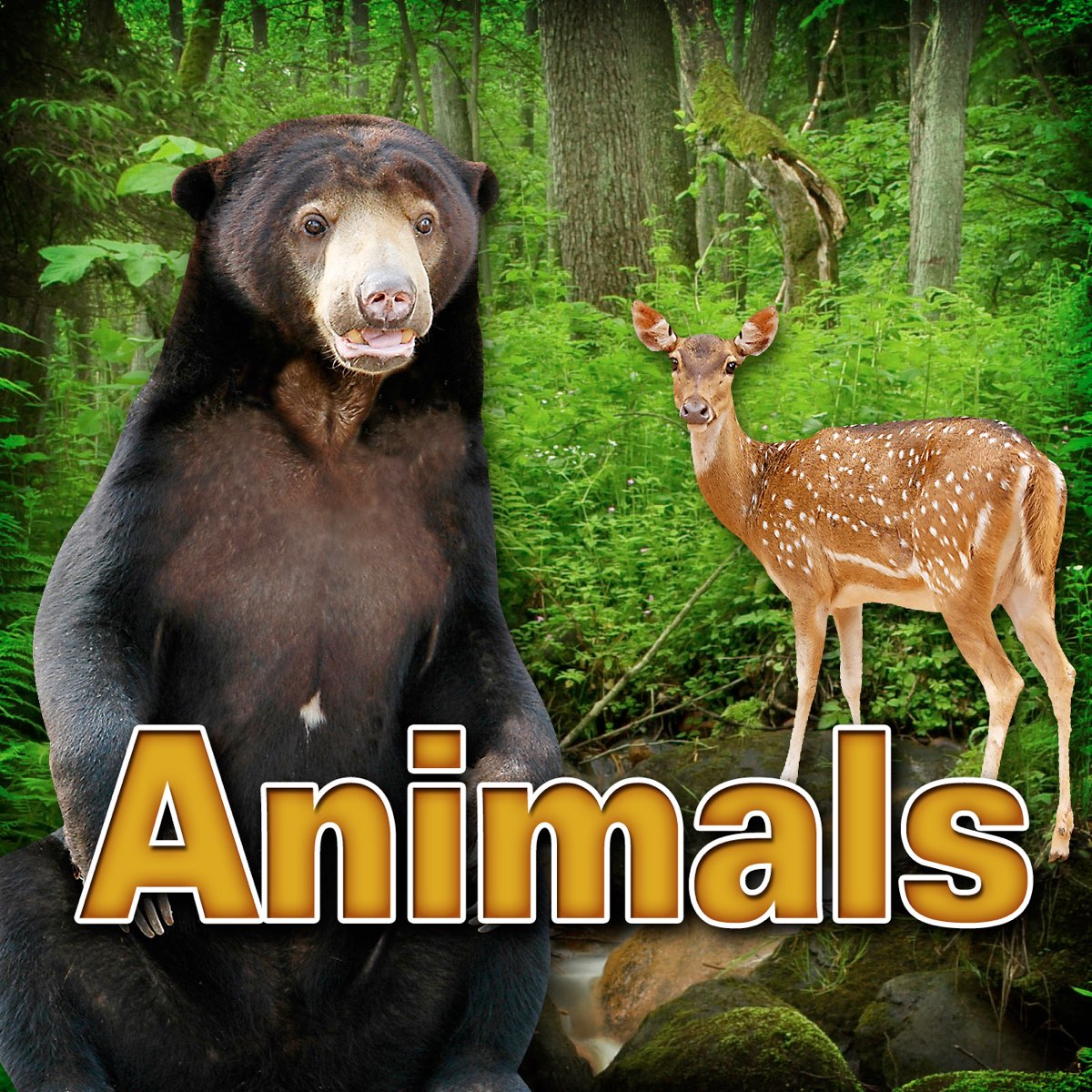 ‎Animals by Dr. Sound Effects on Apple Music